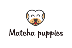 logo Matcha puppies